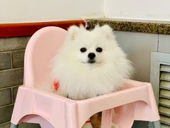 -燕北云山·农家菜·灶台鱼(密云溪翁庄店)