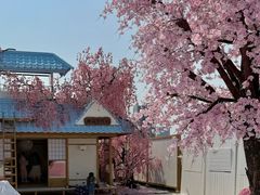 -Blue Concept Cafe&Farm·關於藍