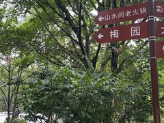 -重庆彩云湖湿地公园
