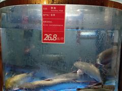 -蜀滋香鲜鱼火锅(黄金路店)