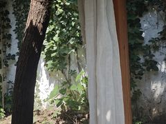 -0907餐厅(核桃园店)