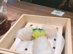 至尊鲍鱼虾饺皇-木棉·醉心粤味(COCO Park店)