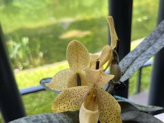 -云溪植物园
