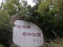 -白水寺森林公园