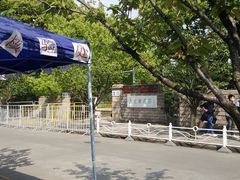 -嘉定紫藤园
