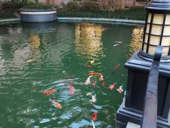 -上海浦东星河湾酒店