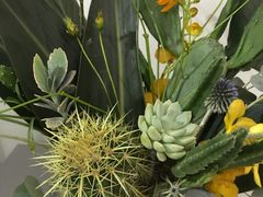 -知物癖(牛王庙店)