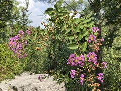 -狼山风景名胜区