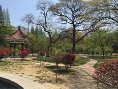 八大关景区-八大关景区