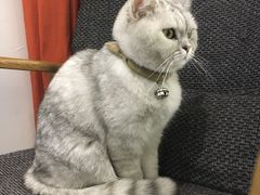 -研途咖啡馆(健康路店)