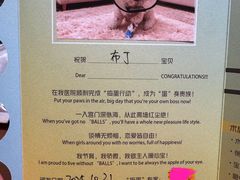 -美联众合动物医院·24h转诊中心