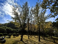 -白塘生态植物园