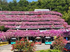 -深圳仙湖植物园