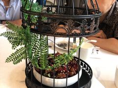 -陶苏·品味融合川菜(龙湖源著天街店)