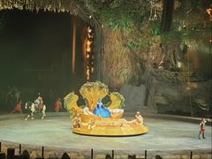 -广州长隆国际大马戏