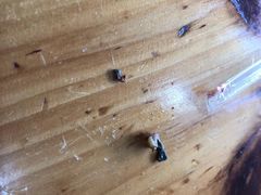 -再回首鸡肉米线(人民路一店)