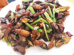 干煸茧蛹-天添纸包鸡家常菜