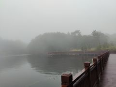 -海南热带雨林国家公园吊罗山景区