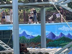 -西霞口神雕山野生动物世界