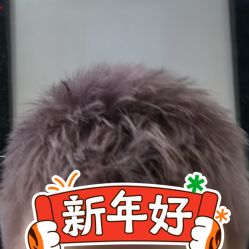 -禾里設計