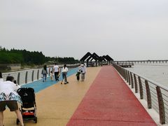 -滆湖低碳生态公园