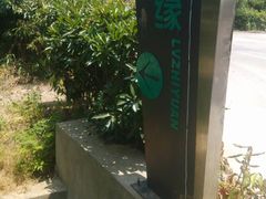 -呼吸森林·生态农庄农家乐私房菜