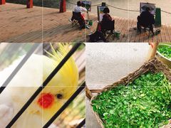 -百里峡七彩艺术小镇