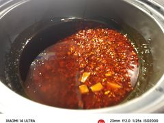-老杨砂锅鱼庄