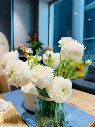 -卡莫瑜伽·普拉提