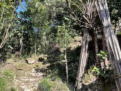 -南山植物园