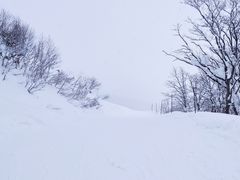 -二世古滑雪场