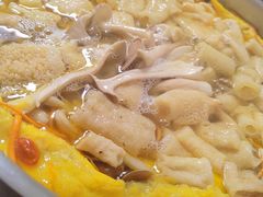 -菌极鲜野生菌火锅店(阳明祠店)
