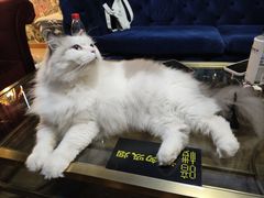 -暗楼·剧本杀·桌游