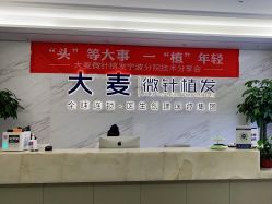 -大麦微针植发丨全国连锁