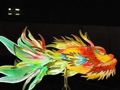 -越秀西湖花市(广州城市广场花卉店)