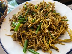 拌茉莉芽-姥家大锅台水库渔家