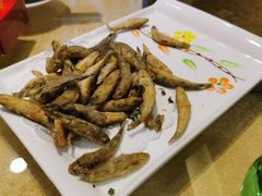 狗母鱼-御同亨酒楼·喜宴