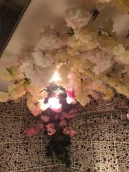 -永琪美容美发全国直营连锁