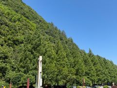 -神龙峡风景区