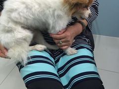 -中农大我爱我爱24h动物医院·中医针灸·猫专科·骨科医疗中心(双井店)