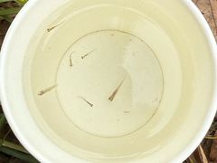 -蓝天路(地铁站)