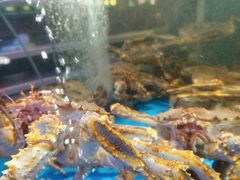 -蟹之国·精品蟹料理(极地店)