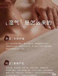 -Fundi张玉珊修身堂·indiba·BTL科技瘦身