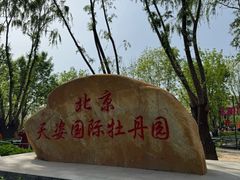 -太阳宫公园