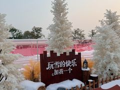 -盈香心动乐园