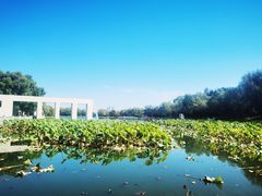 -长春世界雕塑园冰雪艺术天地