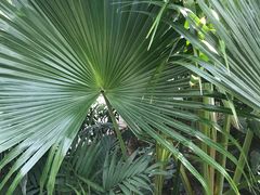 -北京植物园-展览温室