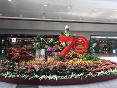 -龙阳路磁悬浮列车总站-停车场