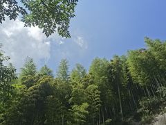 -莫干山风景区