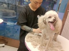-FAELING PETS美天灵宠物(富力广场店)